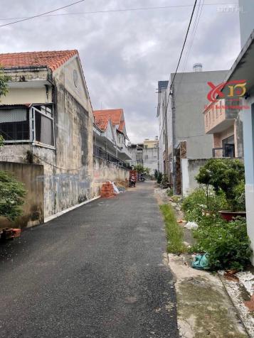 4274289 ảnh đại diện 1