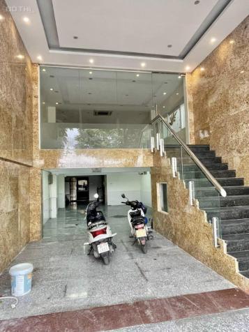 4275830 ảnh đại diện 2