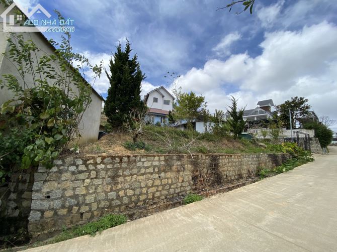 4275377 ảnh đại diện 1