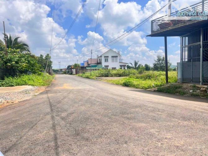 4274839 ảnh đại diện 1
