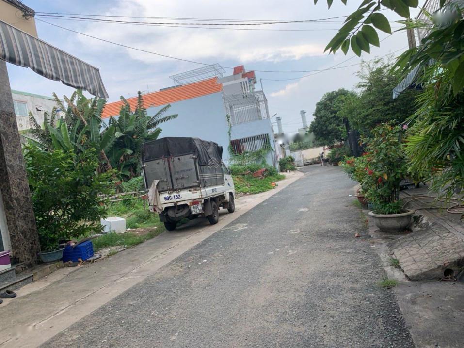4277328 ảnh đại diện 1