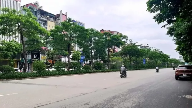 4277445 ảnh đại diện 1