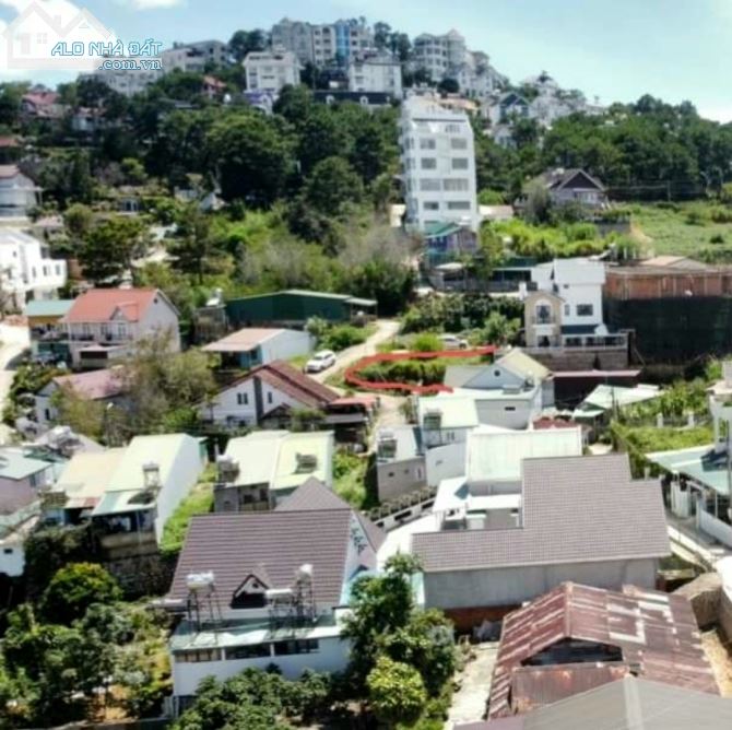 4275375 ảnh đại diện 2