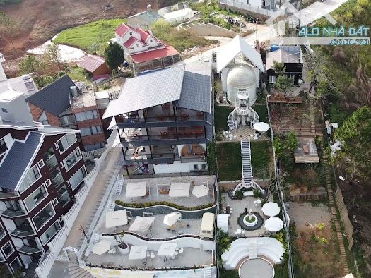 4275356 ảnh đại diện 1