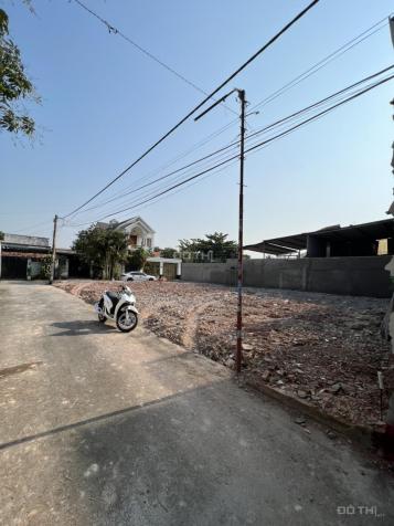 4277839 ảnh đại diện 2