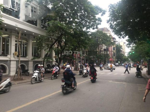 4277908 ảnh đại diện 1