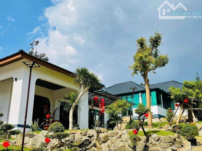 4274833 ảnh đại diện 1