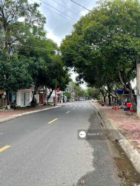 4276813 ảnh đại diện 2