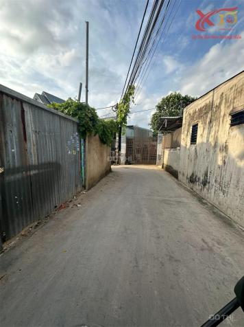 4274303 ảnh đại diện 1