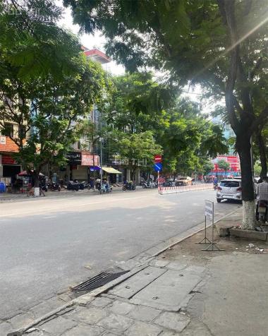 4277909 ảnh đại diện 2