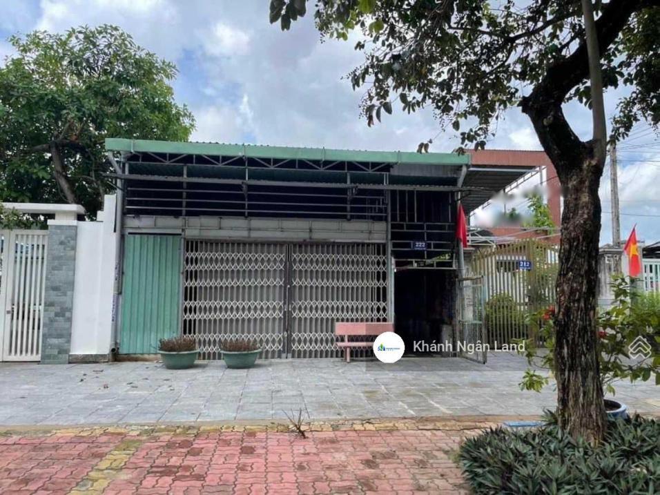 4276813 ảnh đại diện 1