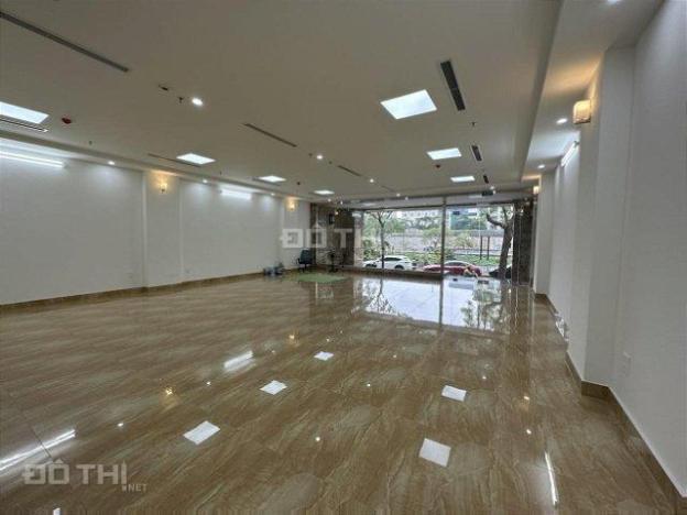 4277892 ảnh đại diện 1