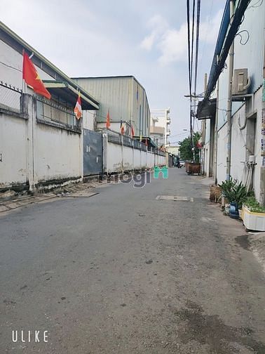 4276018 ảnh đại diện 1