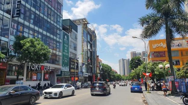 4277499 ảnh đại diện 2