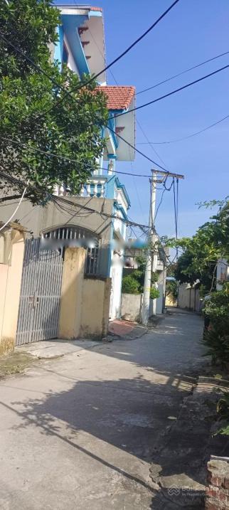 4277628 ảnh đại diện 1