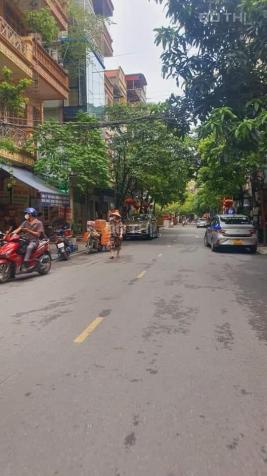 4277551 ảnh đại diện 1