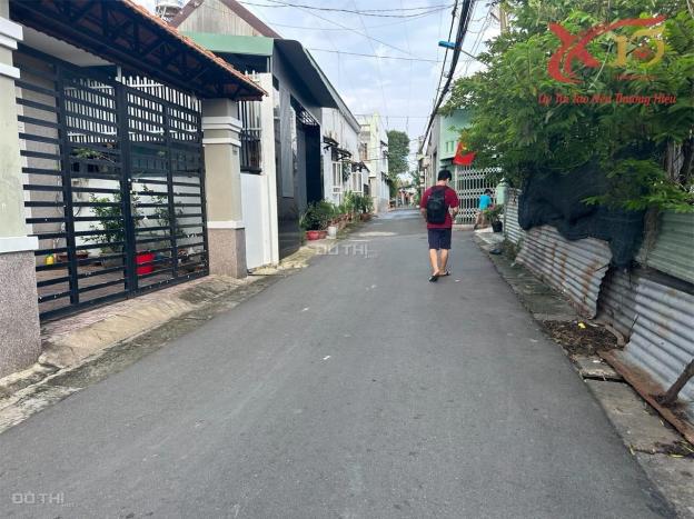 4274303 ảnh đại diện 1