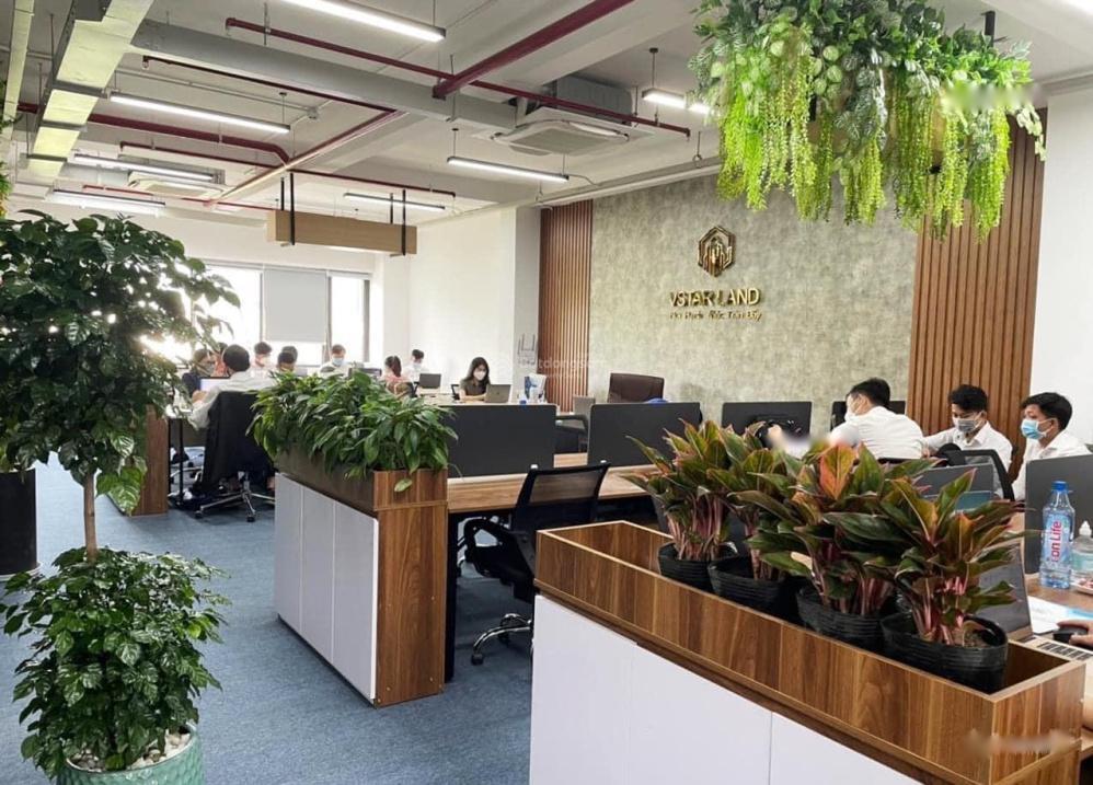 4276889 ảnh đại diện 1