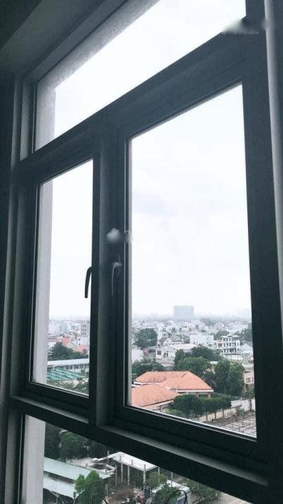 4277521 ảnh đại diện 2