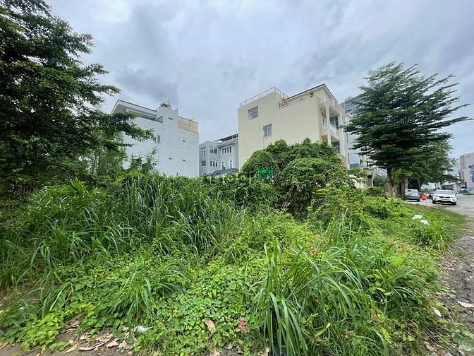 4281077 ảnh đại diện 1
