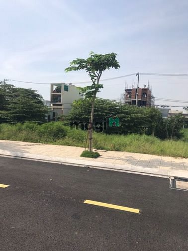 4281069 ảnh đại diện 1