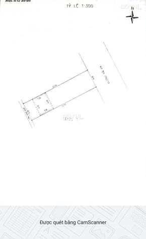 4278575 ảnh đại diện 1