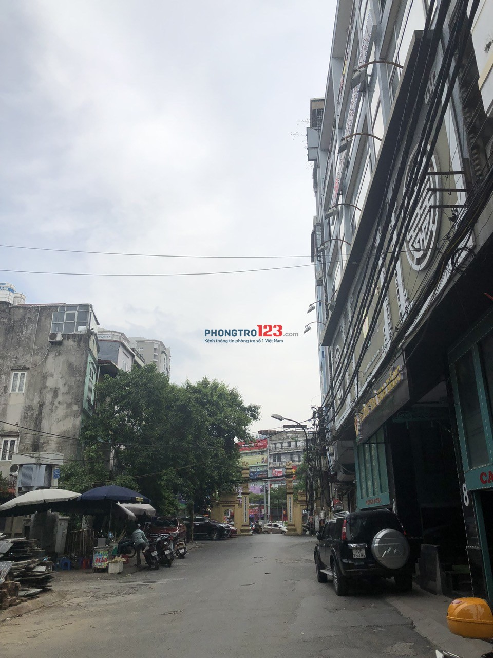 4280118 ảnh đại diện 1