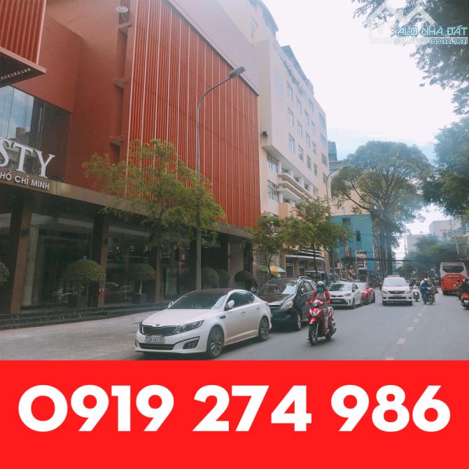4280111 ảnh đại diện 1