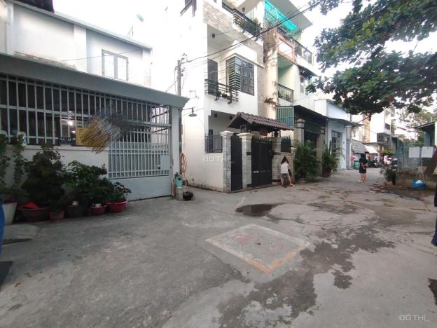 4278897 ảnh đại diện 2