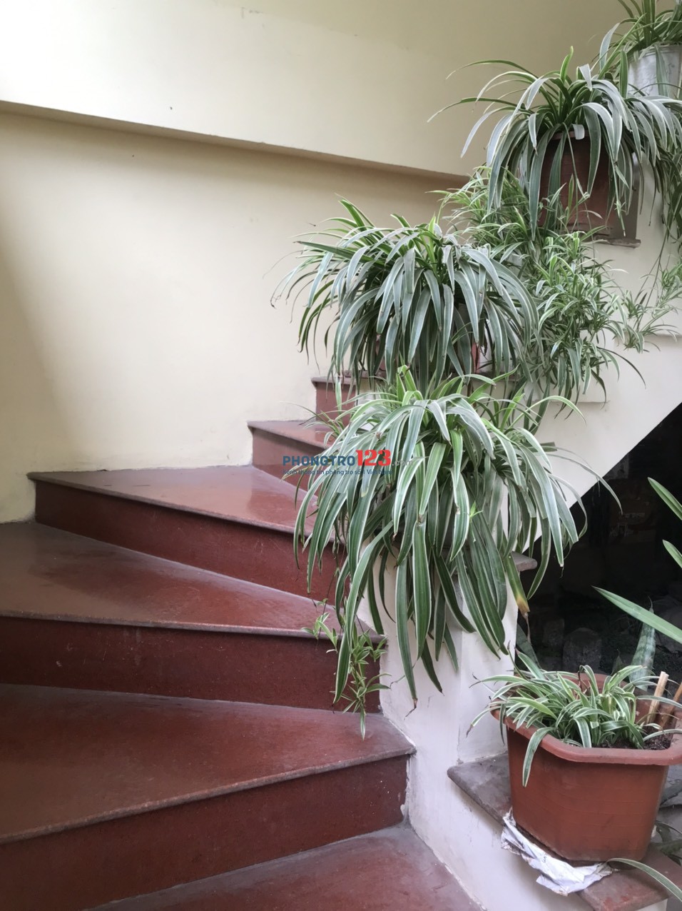 4280118 ảnh đại diện 2