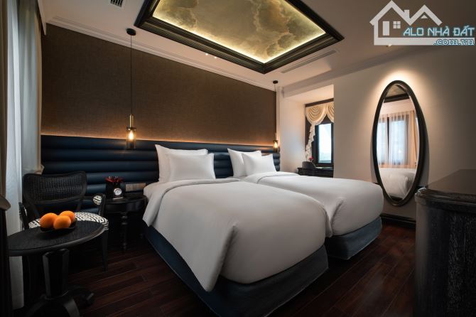 4279244 ảnh đại diện 1