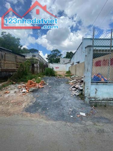 4279028 ảnh đại diện 1