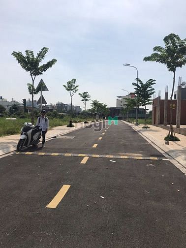 4281069 ảnh đại diện 1