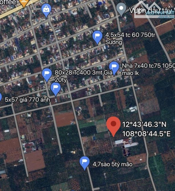 4279067 ảnh đại diện 1