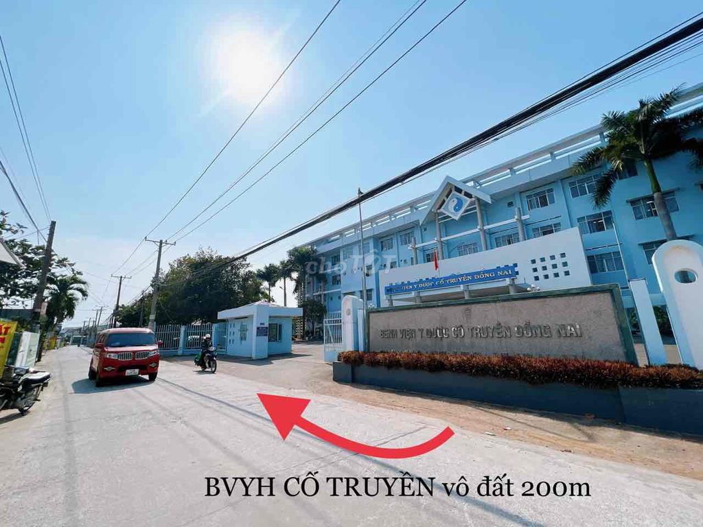 4279397 ảnh đại diện 2