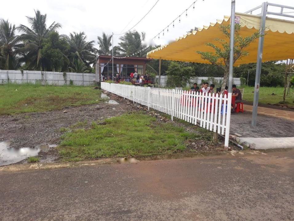 4282284 ảnh đại diện 2