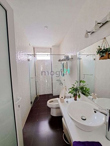 4283268 ảnh đại diện 1