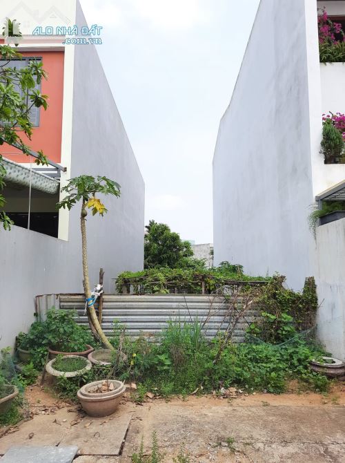 4283317 ảnh đại diện 2