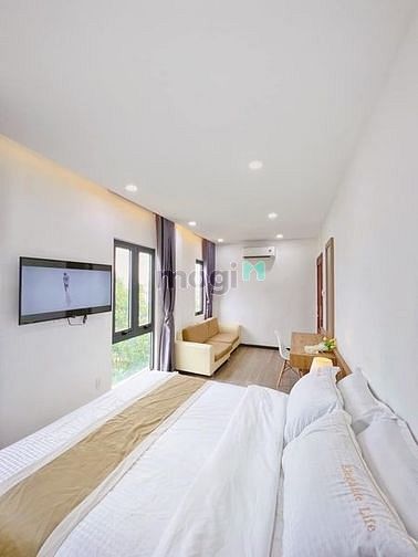 4284159 ảnh đại diện 1