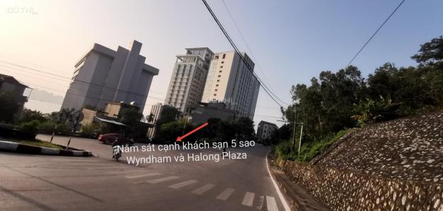 4282402 ảnh đại diện 2