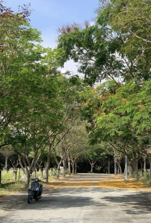 4282117 ảnh đại diện 2