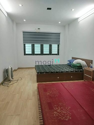 4283866 ảnh đại diện 1
