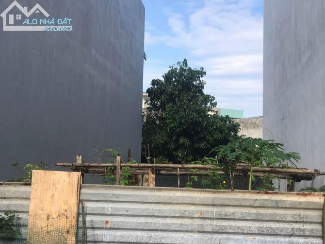 4283307 ảnh đại diện 1