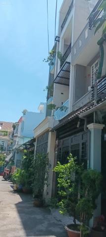 4284379 ảnh đại diện 2