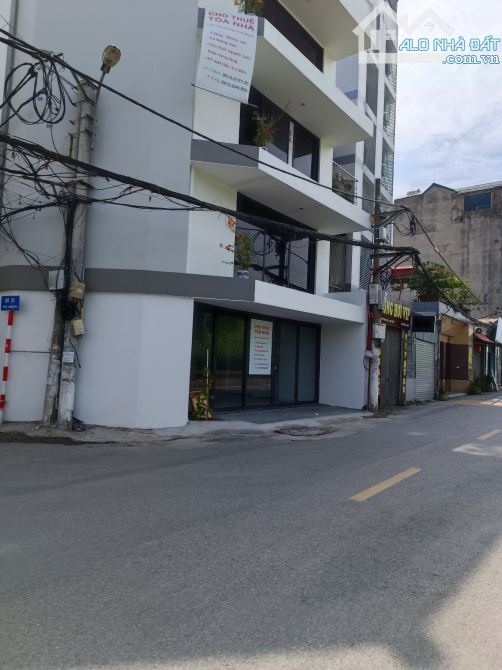 4283103 ảnh đại diện 2