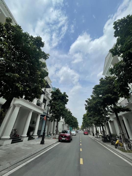 4282943 ảnh đại diện 1