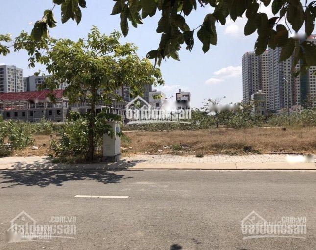 4281808 ảnh đại diện 1