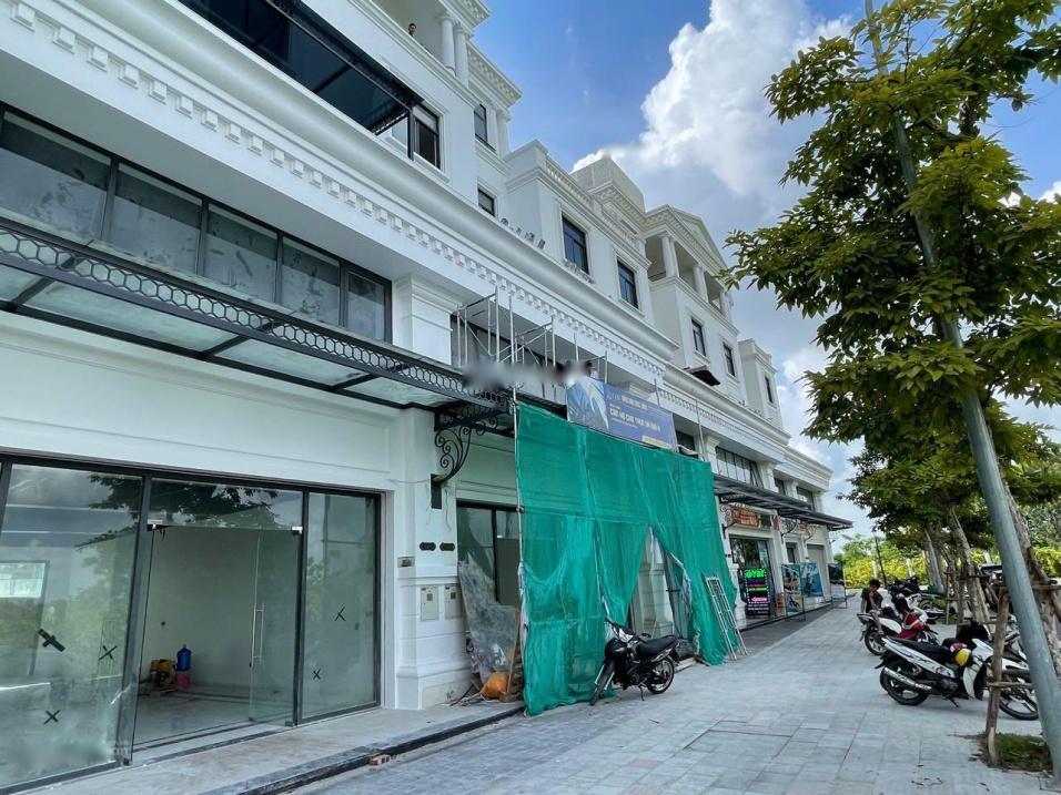 4282990 ảnh đại diện 1