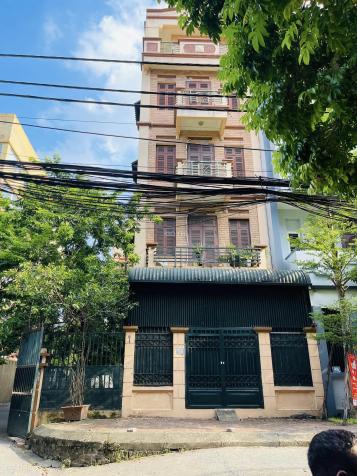 4282369 ảnh đại diện 1