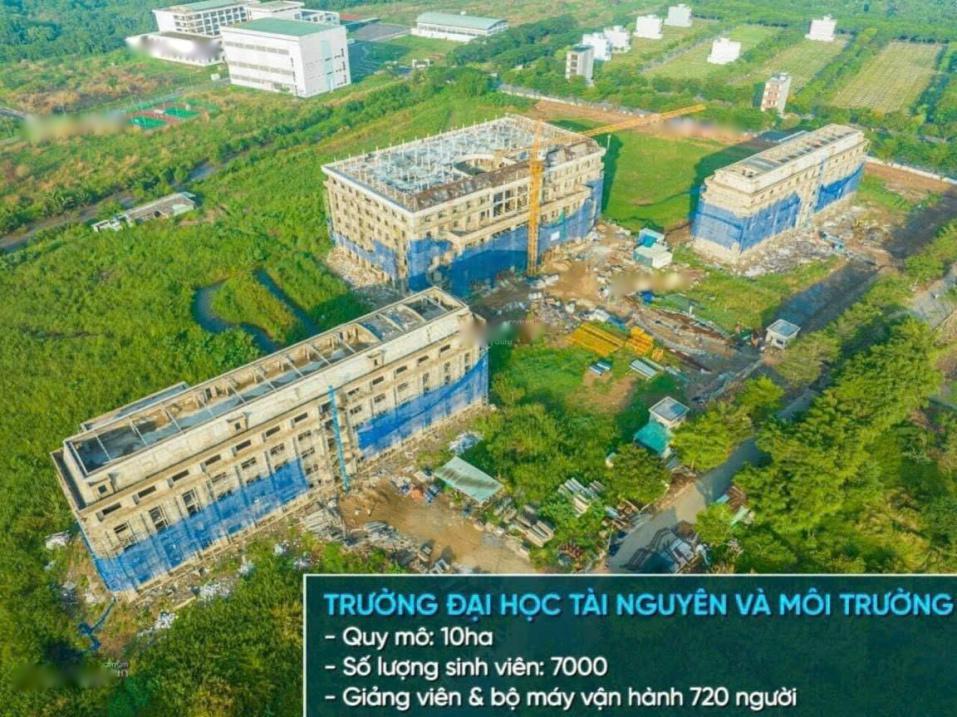 4282132 ảnh đại diện 1